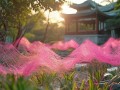 中粉网，智慧生活，幸福生活